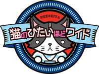 猫のひたいほどワイド