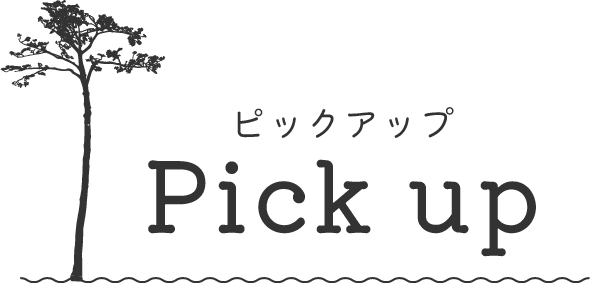 ピックアップpickup