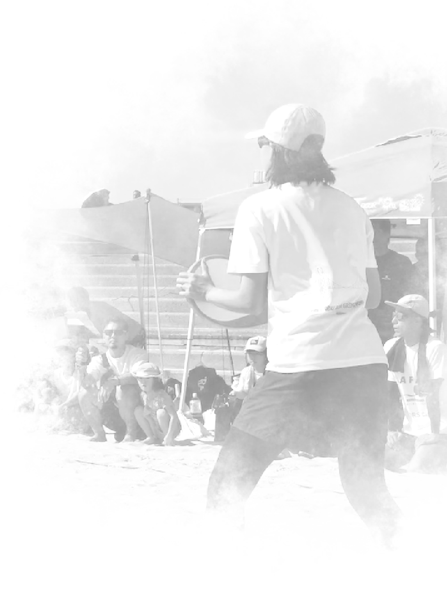 player-2